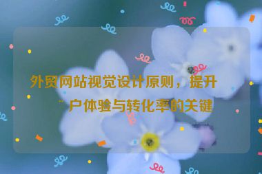 外貿(mào)網(wǎng)站視覺設(shè)計原則，提升用戶體驗與轉(zhuǎn)化率的關(guān)鍵