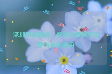 深圳網(wǎng)站建設(shè)，數(shù)字化轉(zhuǎn)型的引擎與未來趨勢