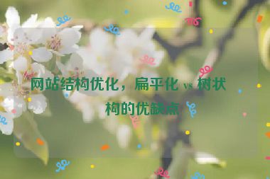網(wǎng)站結(jié)構(gòu)優(yōu)化，扁平化 vs 樹狀結(jié)構(gòu)的優(yōu)缺點