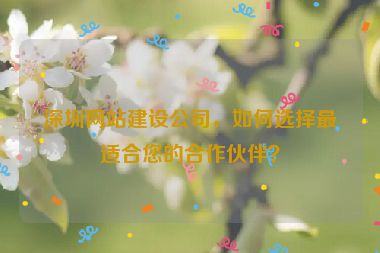 深圳網(wǎng)站建設(shè)公司，如何選擇最適合您的合作伙伴？