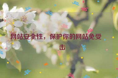 網(wǎng)站安全性，保護(hù)你的網(wǎng)站免受攻擊