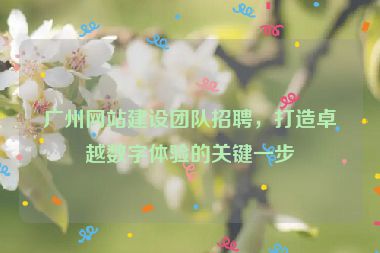廣州網(wǎng)站建設(shè)團(tuán)隊招聘，打造卓越數(shù)字體驗(yàn)的關(guān)鍵一步