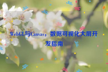 WebGL與Canvas，數(shù)據(jù)可視化大屏開發(fā)指南
