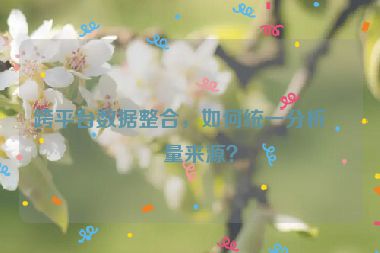 跨平臺(tái)數(shù)據(jù)整合，如何統(tǒng)一分析流量來(lái)源？
