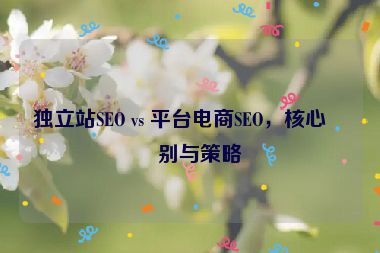 獨立站SEO vs 平臺電商SEO，核心區(qū)別與策略