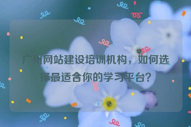 廣州網(wǎng)站建設(shè)培訓(xùn)機(jī)構(gòu)，如何選擇最適合你的學(xué)習(xí)平臺(tái)？