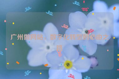 廣州做網(wǎng)站，數(shù)字化轉(zhuǎn)型的必由之路