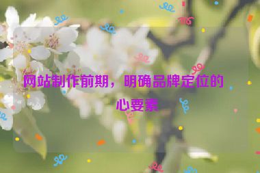 網(wǎng)站制作前期，明確品牌定位的核心要素