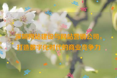 深圳網(wǎng)站建設(shè)與網(wǎng)站營銷公司，打造數(shù)字化時代的商業(yè)競爭力
