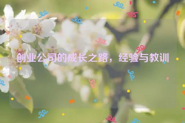 創(chuàng)業(yè)公司的成長(zhǎng)之路，經(jīng)驗(yàn)與教訓(xùn)