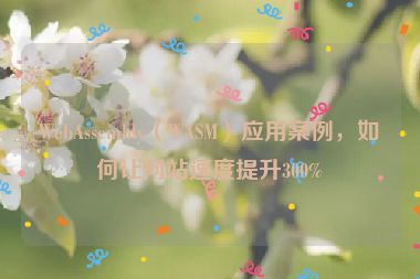 WebAssembly（WASM）應(yīng)用案例，如何讓網(wǎng)站速度提升300%