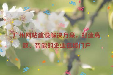 廣州網(wǎng)站建設(shè)解決方案，打造高效、智能的企業(yè)在線門戶