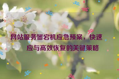 網(wǎng)站服務(wù)器宕機(jī)應(yīng)急預(yù)案，快速響應(yīng)與高效恢復(fù)的關(guān)鍵策略
