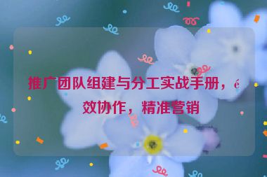 推廣團(tuán)隊(duì)組建與分工實(shí)戰(zhàn)手冊(cè)，高效協(xié)作，精準(zhǔn)營(yíng)銷