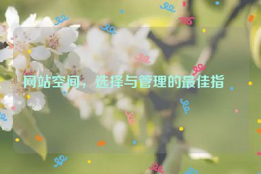 網(wǎng)站空間，選擇與管理的最佳指南