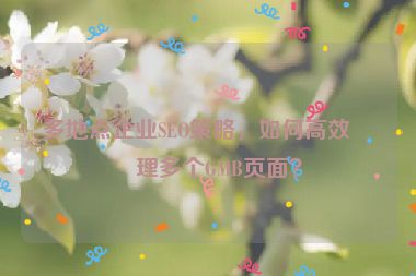 多地點(diǎn)企業(yè)SEO策略，如何高效管理多個(gè)GMB頁(yè)面？