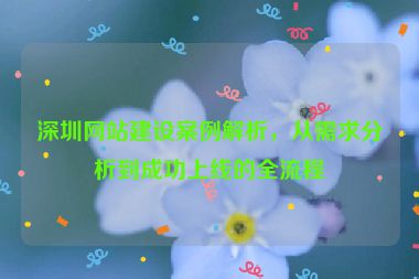 深圳網(wǎng)站建設(shè)案例解析，從需求分析到成功上線的全流程