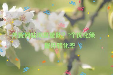 外貿(mào)網(wǎng)站詢(xún)盤(pán)量低？7個(gè)優(yōu)化策略提升轉(zhuǎn)化率