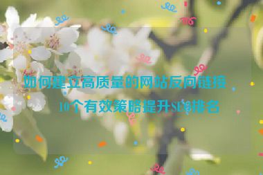 如何建立高質(zhì)量的網(wǎng)站反向鏈接？10個有效策略提升SEO排名