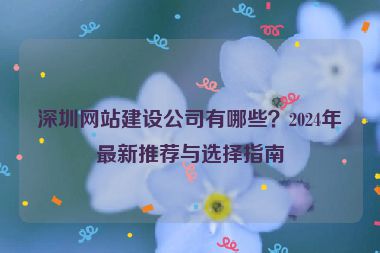 深圳網(wǎng)站建設(shè)公司有哪些？2024年最新推薦與選擇指南