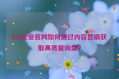 B2B企業(yè)官網(wǎng)如何通過內(nèi)容營(yíng)銷獲取高質(zhì)量詢盤？