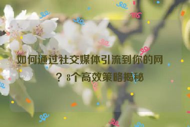 如何通過(guò)社交媒體引流到你的網(wǎng)站？8個(gè)高效策略揭秘