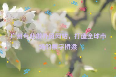 廣州專業(yè)做外貿(mào)網(wǎng)站，打造全球市場的數(shù)字橋梁