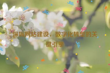 深圳網(wǎng)站建設(shè)，數(shù)字化轉(zhuǎn)型的關(guān)鍵引擎