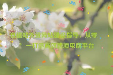 自建站外貿(mào)網(wǎng)站建設(shè)指導(dǎo)，從零到一打造高效跨境電商平臺