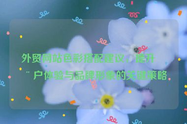 外貿(mào)網(wǎng)站色彩搭配建議，提升用戶體驗與品牌形象的關(guān)鍵策略