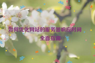 如何優(yōu)化網(wǎng)站的服務(wù)器響應(yīng)時(shí)間，全面指南