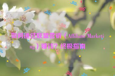 如何通過聯(lián)盟營銷（Affiliate Marketing）賺錢？終極指南