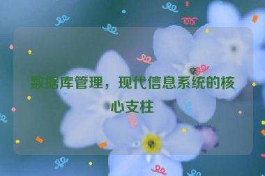 數(shù)據(jù)庫管理，現(xiàn)代信息系統(tǒng)的核心支柱