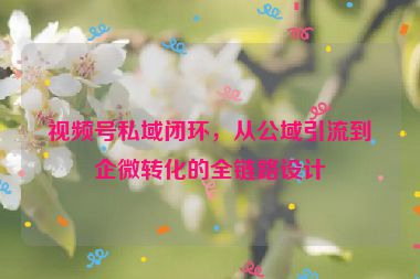 視頻號私域閉環(huán)，從公域引流到企微轉(zhuǎn)化的全鏈路設(shè)計