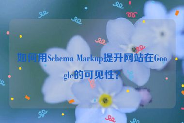 如何用Schema Markup提升網(wǎng)站在Google的可見性？