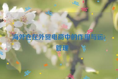 海外倉在外貿(mào)電商中的作用與運(yùn)營管理