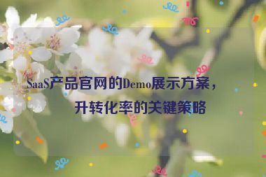 SaaS產(chǎn)品官網(wǎng)的Demo展示方案，提升轉(zhuǎn)化率的關(guān)鍵策略
