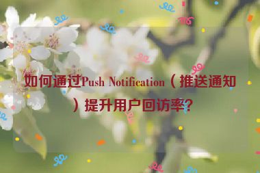 如何通過Push Notification（推送通知）提升用戶回訪率？