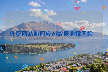 外貿(mào)網(wǎng)站如何應(yīng)對數(shù)據(jù)泄露風(fēng)險？