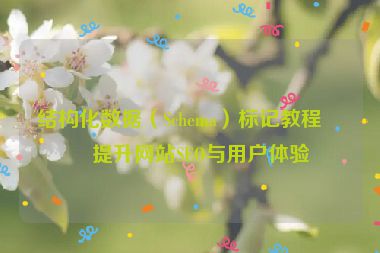 結(jié)構(gòu)化數(shù)據(jù)（Schema）標(biāo)記教程，提升網(wǎng)站SEO與用戶體驗(yàn)