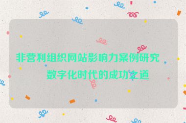 非營(yíng)利組織網(wǎng)站影響力案例研究，數(shù)字化時(shí)代的成功之道