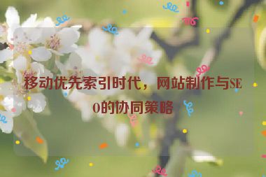 移動(dòng)優(yōu)先索引時(shí)代，網(wǎng)站制作與SEO的協(xié)同策略
