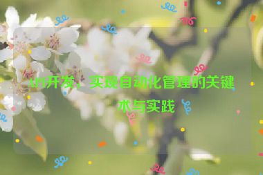 API開(kāi)發(fā)，實(shí)現(xiàn)自動(dòng)化管理的關(guān)鍵技術(shù)與實(shí)踐