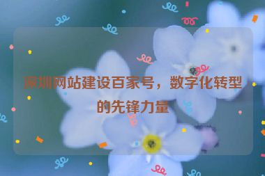 深圳網(wǎng)站建設(shè)百家號，數(shù)字化轉(zhuǎn)型的先鋒力量