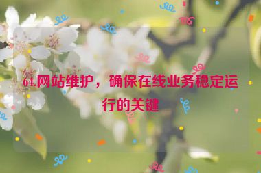 64.網(wǎng)站維護(hù)，確保在線業(yè)務(wù)穩(wěn)定運(yùn)行的關(guān)鍵