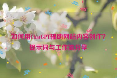 如何用ChatGPT輔助網(wǎng)站內(nèi)容創(chuàng)作？提示詞與工作流分享