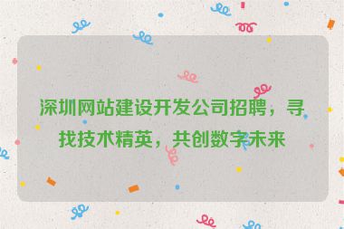 深圳網(wǎng)站建設(shè)開發(fā)公司招聘，尋找技術(shù)精英，共創(chuàng)數(shù)字未來