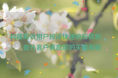 構(gòu)建高效用戶投訴快速響應(yīng)機(jī)制，提升客戶滿意度的關(guān)鍵策略
