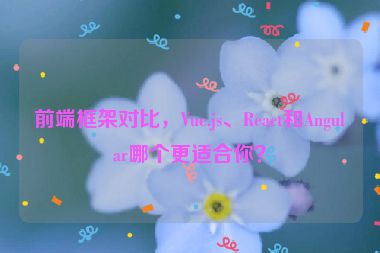 前端框架對(duì)比，Vue.js、React和Angular哪個(gè)更適合你？