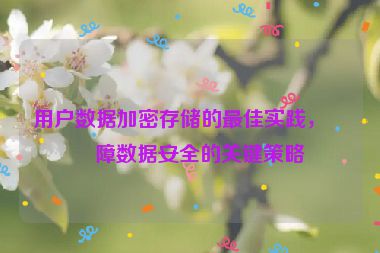 用戶數(shù)據(jù)加密存儲(chǔ)的最佳實(shí)踐，保障數(shù)據(jù)安全的關(guān)鍵策略